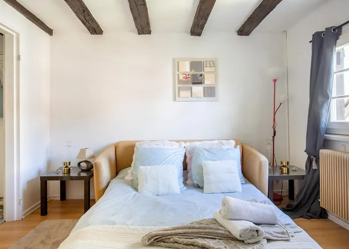 Διαμέρισμα Au Coeur De La Petite Venise - Κολμάρ